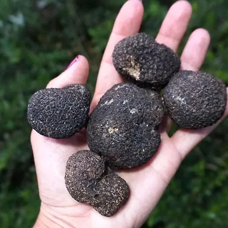 Acqua Bianca مزرعة للإقامة