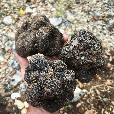 Acqua Bianca Francavilla in Sinni