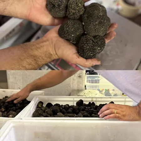 Acqua Bianca مزرعة للإقامة *